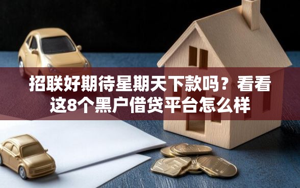 招联好期待星期天下款吗？看看这8个黑户借贷平台怎么样