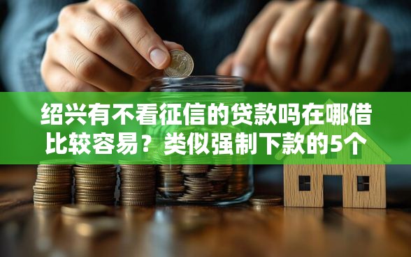 绍兴有不看征信的贷款吗在哪借比较容易？类似强制下款的5个口子参考