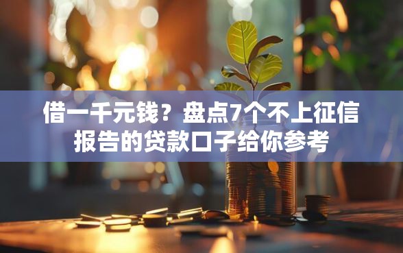 借一千元钱？盘点7个不上征信报告的贷款口子给你参考