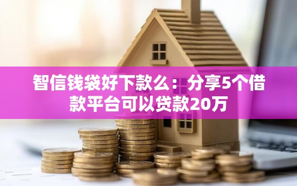 智信钱袋好下款么：分享5个借款平台可以贷款20万