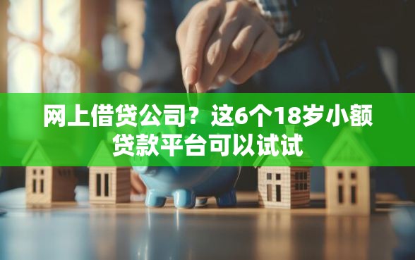 网上借贷公司？这6个18岁小额贷款平台可以试试