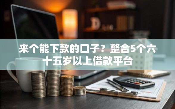 来个能下款的口子？整合5个六十五岁以上借款平台