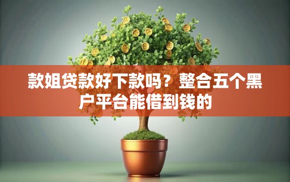 款姐贷款好下款吗？整合五个黑户平台能借到钱的