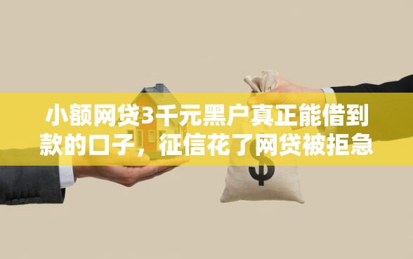 小额网贷3千元黑户真正能借到款的口子，征信花了网贷被拒急需用钱怎么办呀的6个平台介绍