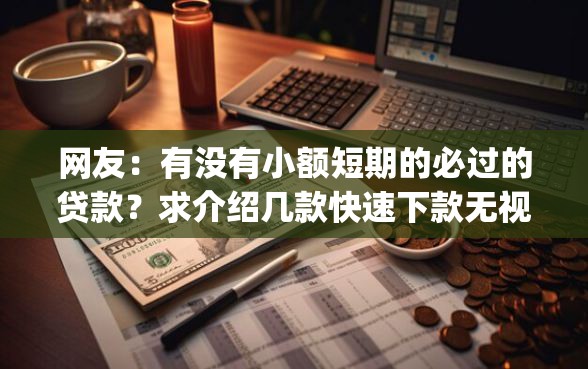 网友：有没有小额短期的必过的贷款？求介绍几款快速下款无视征信的app