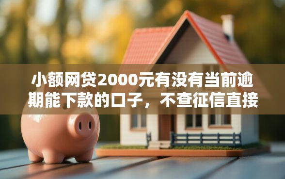 小额网贷2000元有没有当前逾期能下款的口子，不查征信直接放款20000的6个平台介绍