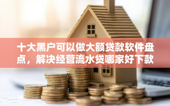 十大黑户可以做大额贷款软件盘点，解决经营流水贷哪家好下款的问题