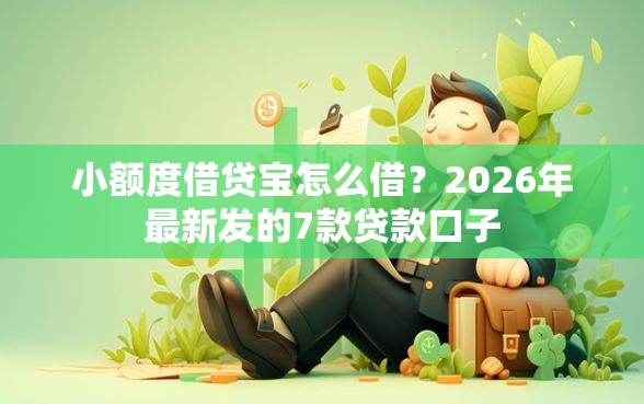 小额度借贷宝怎么借？2026年最新发的7款贷款口子