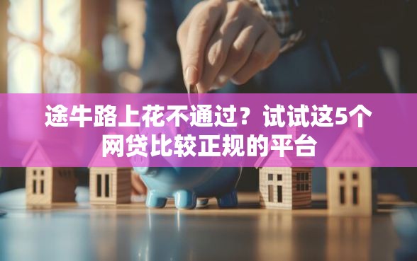 途牛路上花不通过？试试这5个网贷比较正规的平台