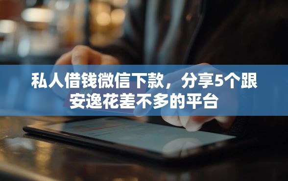 私人借钱微信下款，分享5个跟安逸花差不多的平台