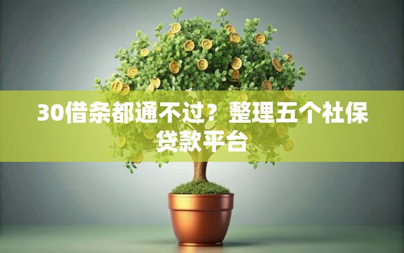 30借条都通不过？整理五个社保贷款平台