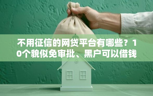 不用征信的网贷平台有哪些？10个貌似免审批、黑户可以借钱的平台合集