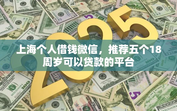 上海个人借钱微信，推荐五个18周岁可以贷款的平台