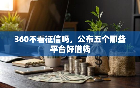 360不看征信吗，公布五个那些平台好借钱