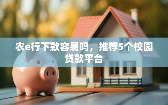 农e行下款容易吗，推荐5个校园贷款平台