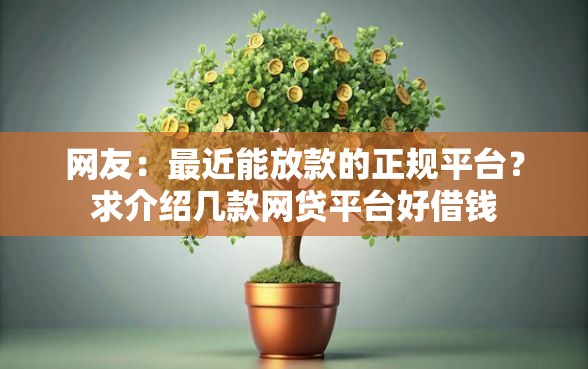 网友：最近能放款的正规平台？求介绍几款网贷平台好借钱
