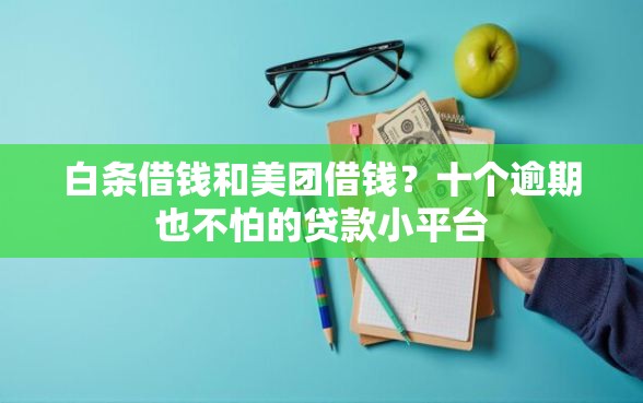 白条借钱和美团借钱？十个逾期也不怕的贷款小平台
