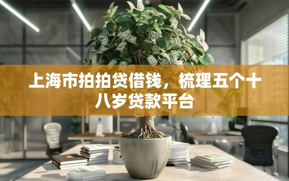 上海市拍拍贷借钱，梳理五个十八岁贷款平台