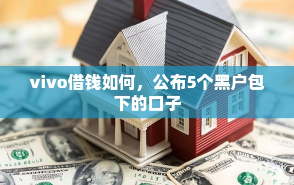 vivo借钱如何，公布5个黑户包下的口子