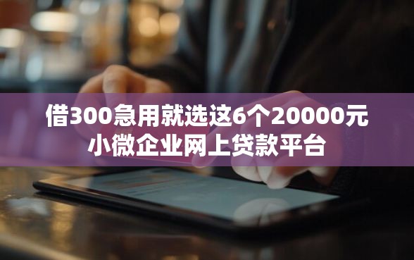 借300急用就选这6个20000元小微企业网上贷款平台