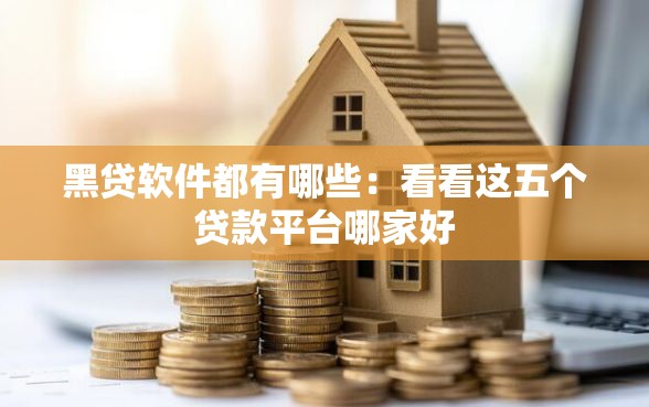 黑贷软件都有哪些：看看这五个贷款平台哪家好