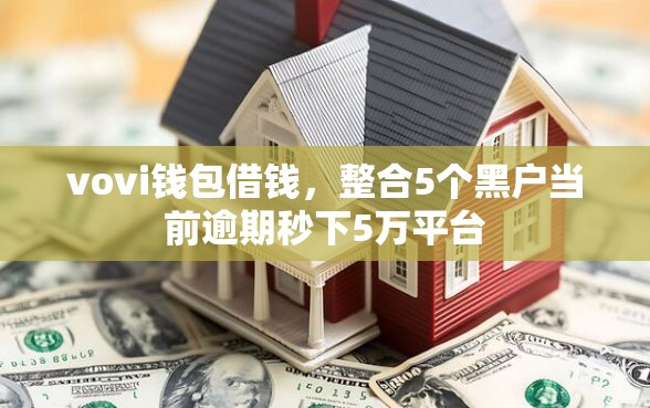 vovi钱包借钱，整合5个黑户当前逾期秒下5万平台