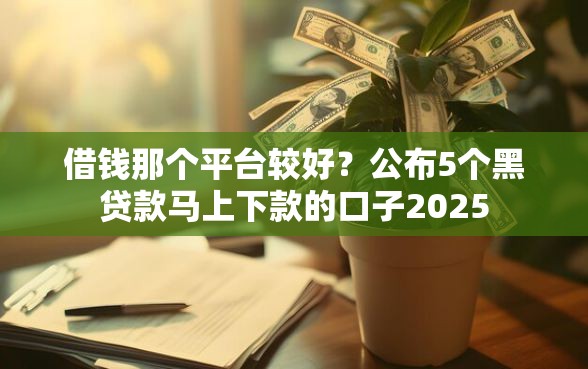 借钱那个平台较好？公布5个黑贷款马上下款的口子2025