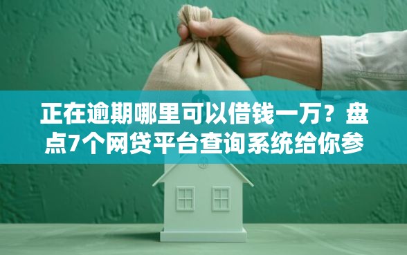 正在逾期哪里可以借钱一万？盘点7个网贷平台查询系统给你参考