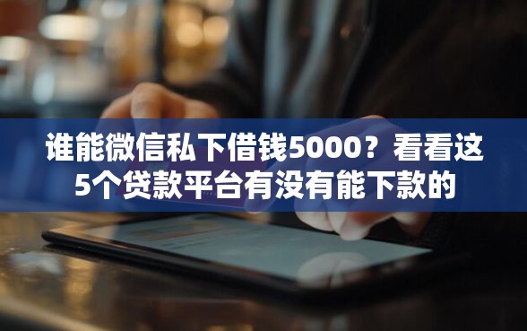 谁能微信私下借钱5000？看看这5个贷款平台有没有能下款的