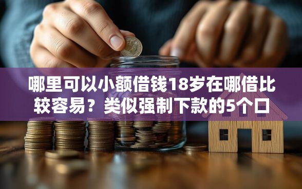 哪里可以小额借钱18岁在哪借比较容易？类似强制下款的5个口子参考