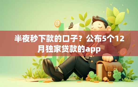 半夜秒下款的口子？公布5个12月独家贷款的app