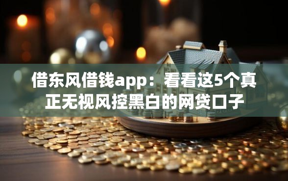 借东风借钱app：看看这5个真正无视风控黑白的网贷口子
