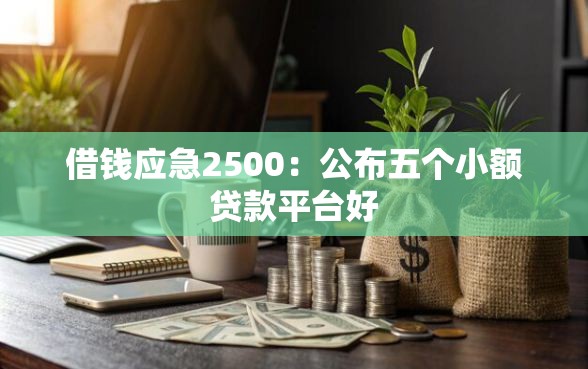 借钱应急2500：公布五个小额贷款平台好