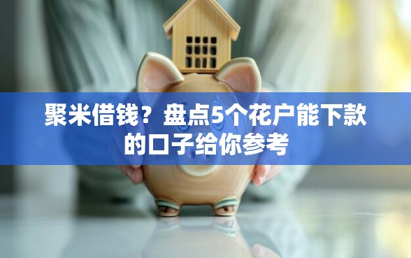 聚米借钱？盘点5个花户能下款的口子给你参考