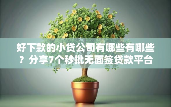 好下款的小贷公司有哪些有哪些？分享7个秒批无面签贷款平台