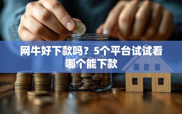 网牛好下款吗？5个平台试试看哪个能下款