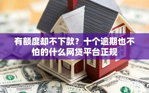 有额度却不下款？十个逾期也不怕的什么网贷平台正规