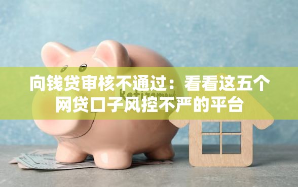 向钱贷审核不通过：看看这五个网贷口子风控不严的平台