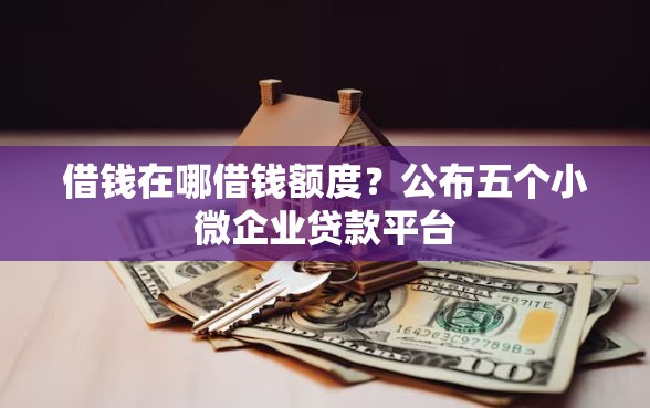 借钱在哪借钱额度？公布五个小微企业贷款平台