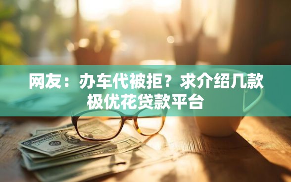 网友：办车代被拒？求介绍几款极优花贷款平台