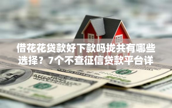借花花贷款好下款吗拢共有哪些选择？7个不查征信贷款平台详解