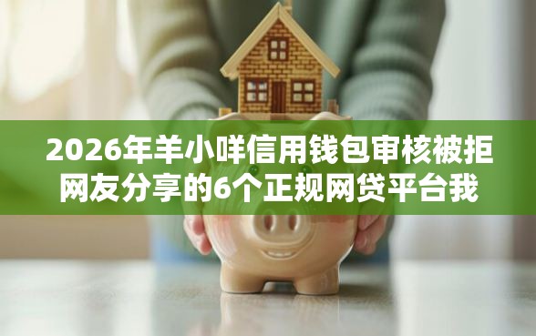 2026年羊小咩信用钱包审核被拒网友分享的6个正规网贷平台我觉得不错！
