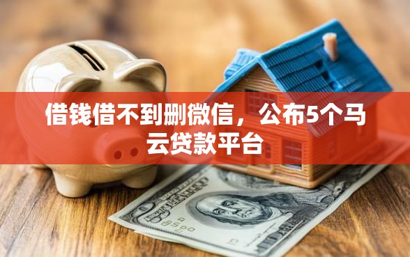 借钱借不到删微信，公布5个马云贷款平台