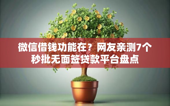 微信借钱功能在？网友亲测7个秒批无面签贷款平台盘点