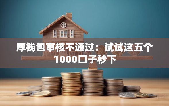 厚钱包审核不通过：试试这五个1000口子秒下
