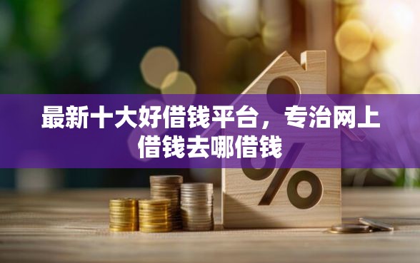 最新十大好借钱平台，专治网上借钱去哪借钱
