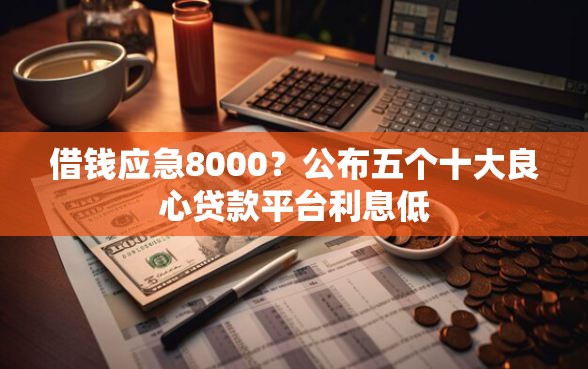 借钱应急8000？公布五个十大良心贷款平台利息低