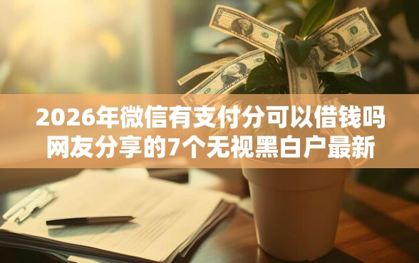 2026年微信有支付分可以借钱吗网友分享的7个无视黑白户最新口子我觉得不错！