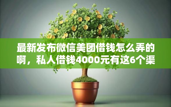 最新发布微信美团借钱怎么弄的啊，私人借钱4000元有这6个渠道