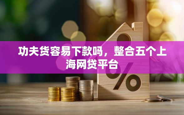 功夫货容易下款吗,整合五个上海网贷平台 功夫货容易下款吗,整合五个上海网贷平台